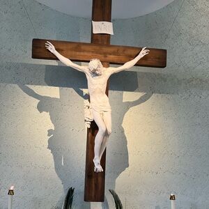 Meet your Posher, Liz marie